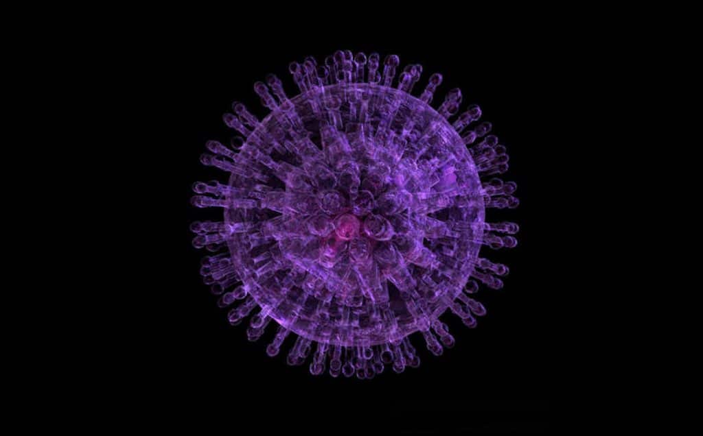 herpes-simplex-virus-01c