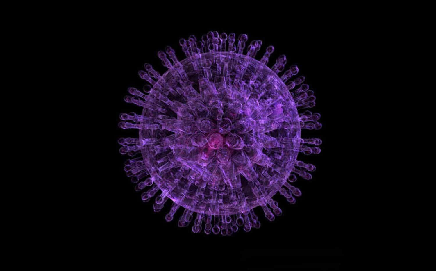 Класс коронавирусов. Вирусы анимированные. Вирус анимация. Вирусы гифки. Фиолетовый вирус.