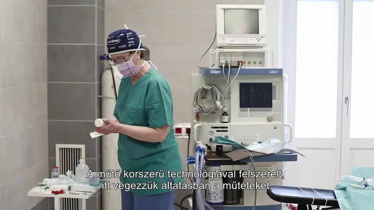 Plasztikai részleg bemutató