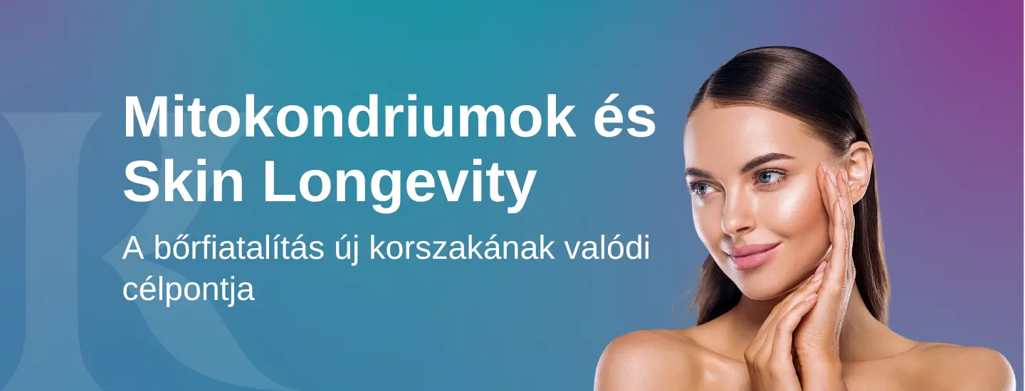 mitokondriumok-es-skin-longevity Mitokondriumok es skin longevity